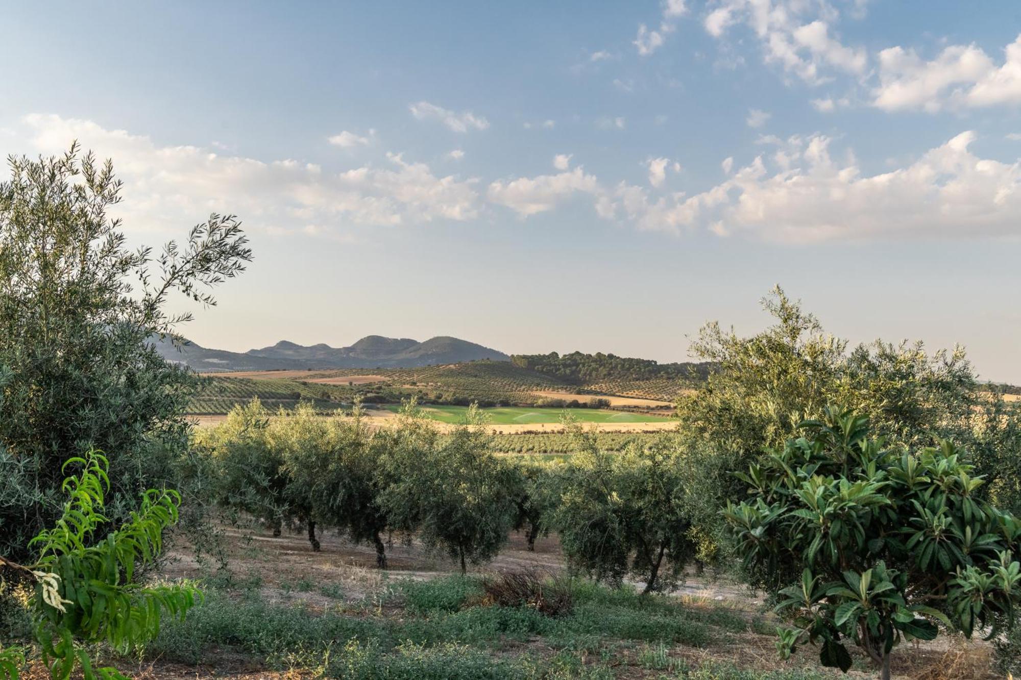 La Loma Country house Granada